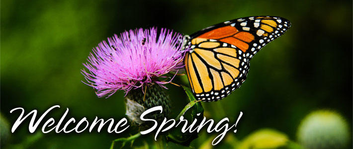 Welcome Spring!