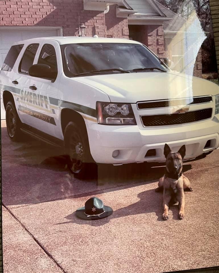 Blade laying in front of a police vehicle.
