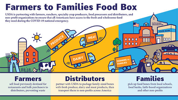 Farmers to Families Food Box flyer explaining process from farmers to distributors to families
