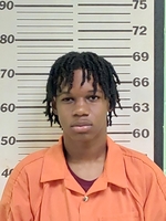 Mugshot of DAVIS, DECARDOUS DEMANDA